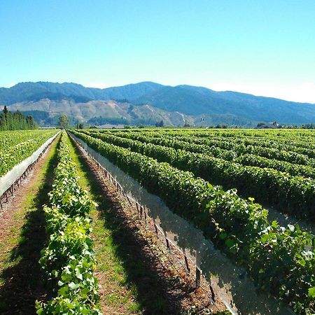 Marlborough Magic - Rapaura Holiday Home ブレナム エクステリア 写真