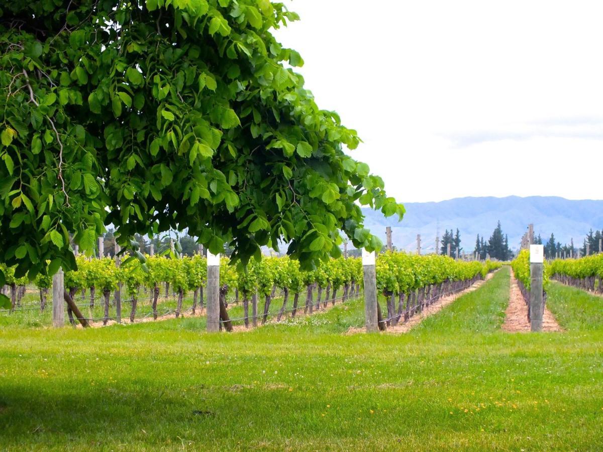 Marlborough Magic - Rapaura Holiday Home ブレナム エクステリア 写真