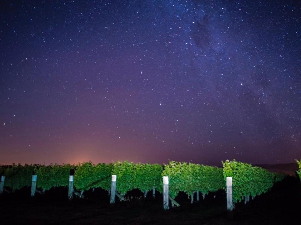 Marlborough Magic - Rapaura Holiday Home ブレナム エクステリア 写真
